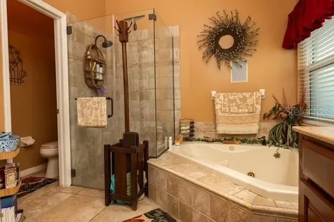 4605 Oak River Circle Valrico FL 33596