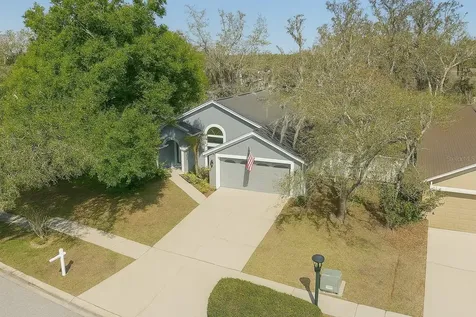 4605 Oak River Circle Valrico FL 33596