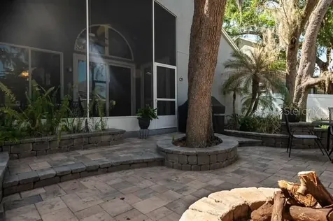 4605 Oak River Circle Valrico FL 33596