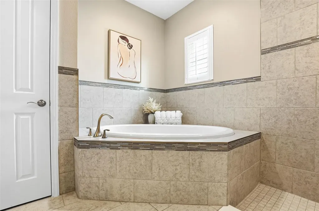 21804 Briske Morning Avenue Land O Lakes FL 34637
