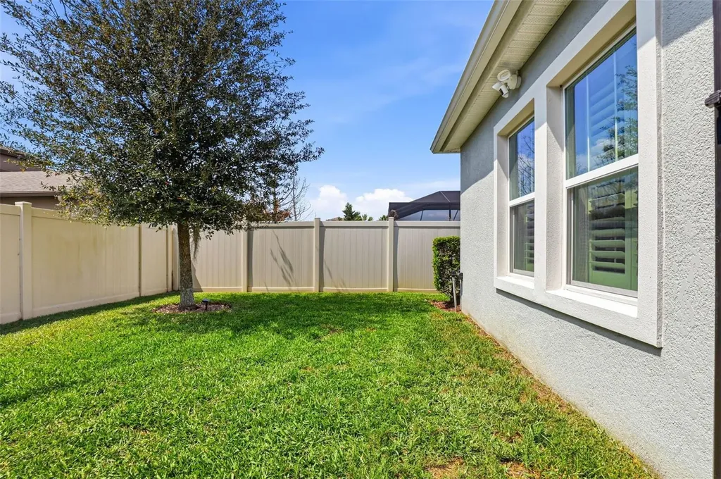 21804 Briske Morning Avenue Land O Lakes FL 34637