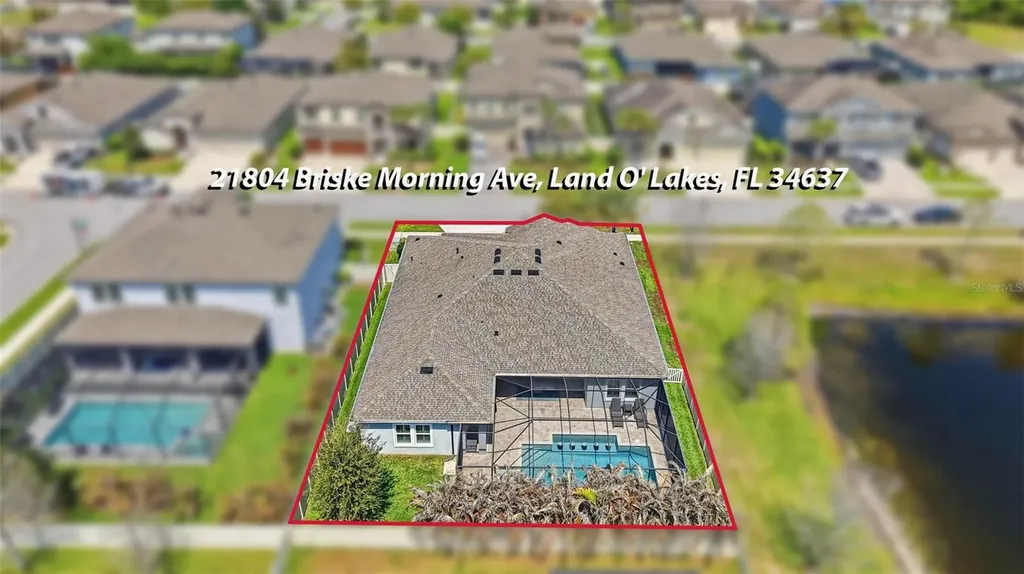 21804 Briske Morning Avenue Land O Lakes FL 34637