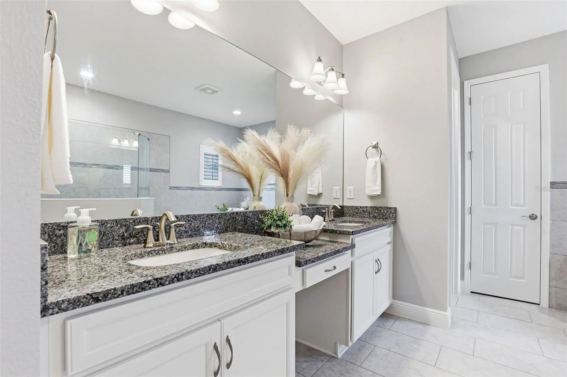 21804 Briske Morning Avenue Land O Lakes FL 34637