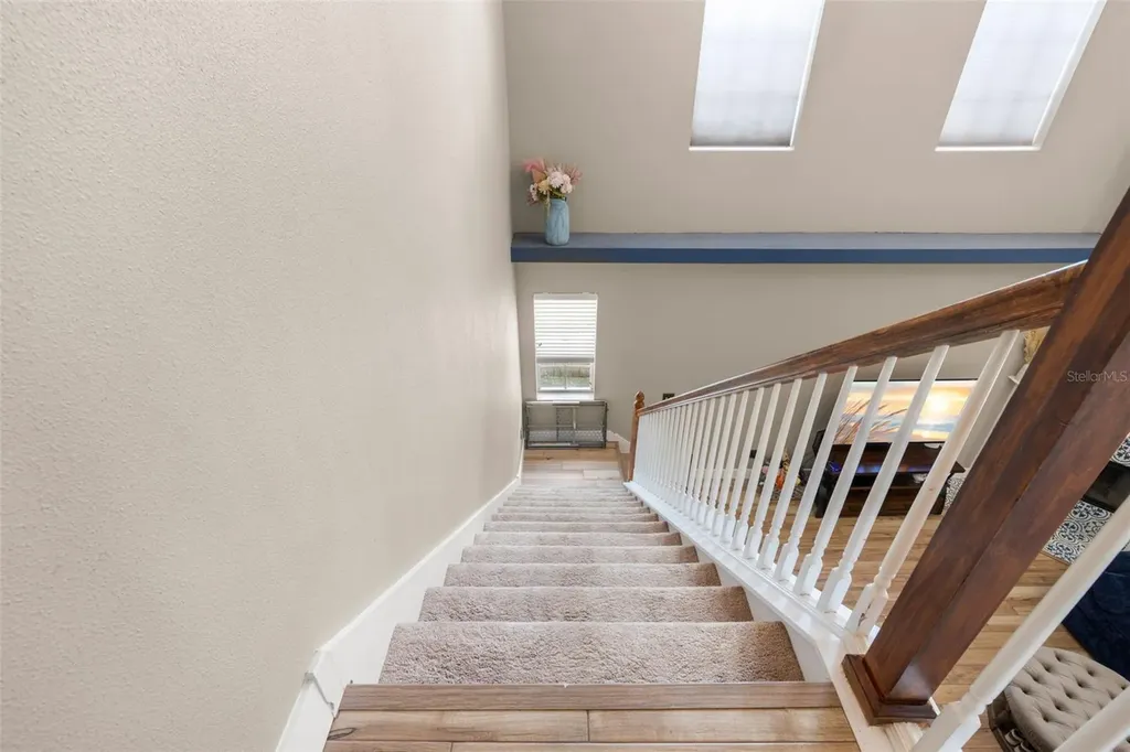3114 S Canal Drive Palm Harbor FL 34684