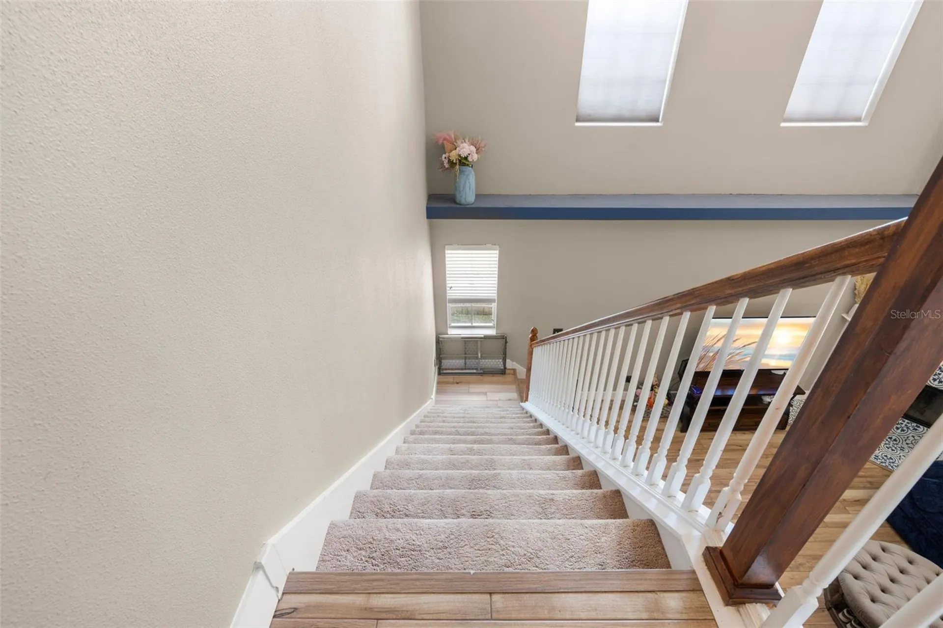 3114 S Canal Drive Palm Harbor FL 34684