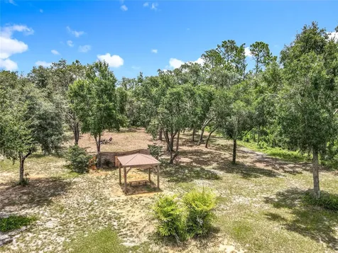 10220 Bay Lake Road Groveland FL 34736