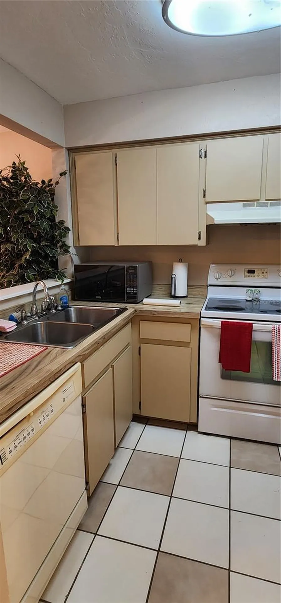3404 NW 52nd Terrace Gainesville FL 32606