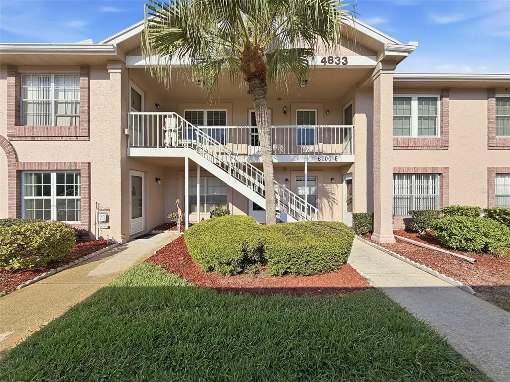 4833 Myrtle Oak Drive New Port Richey FL 34653