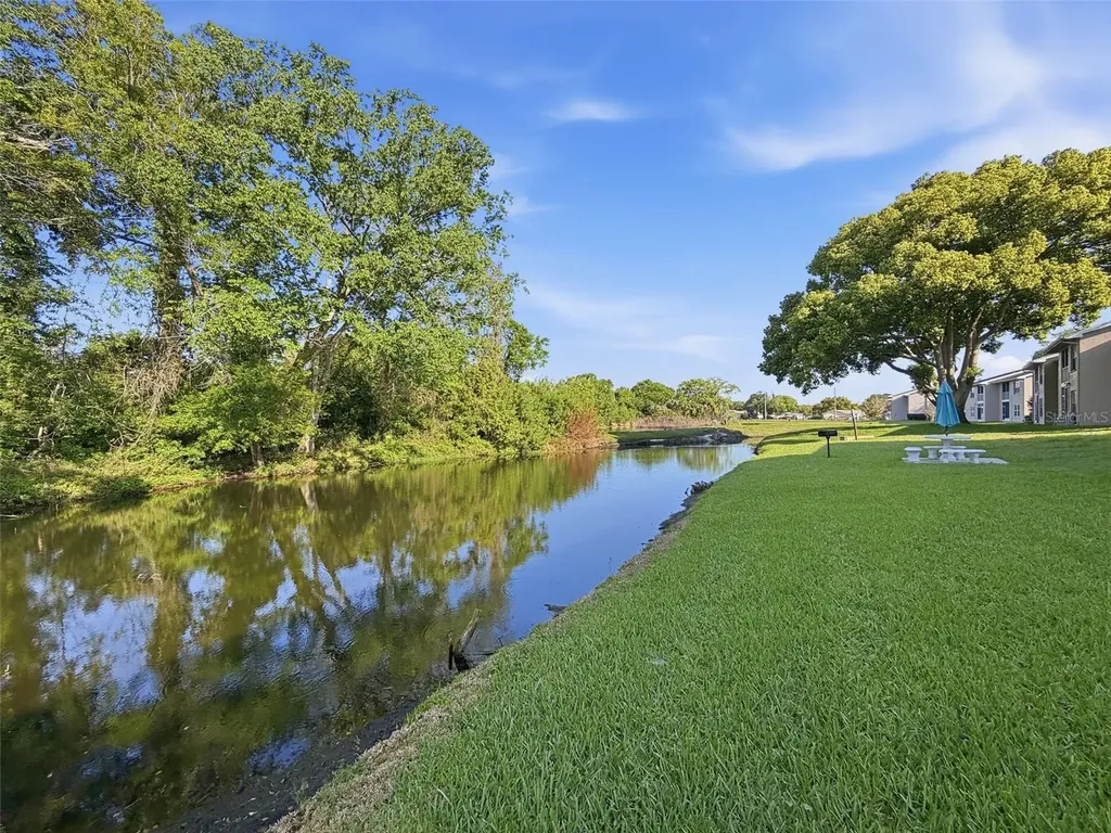 4833 Myrtle Oak Drive New Port Richey FL 34653