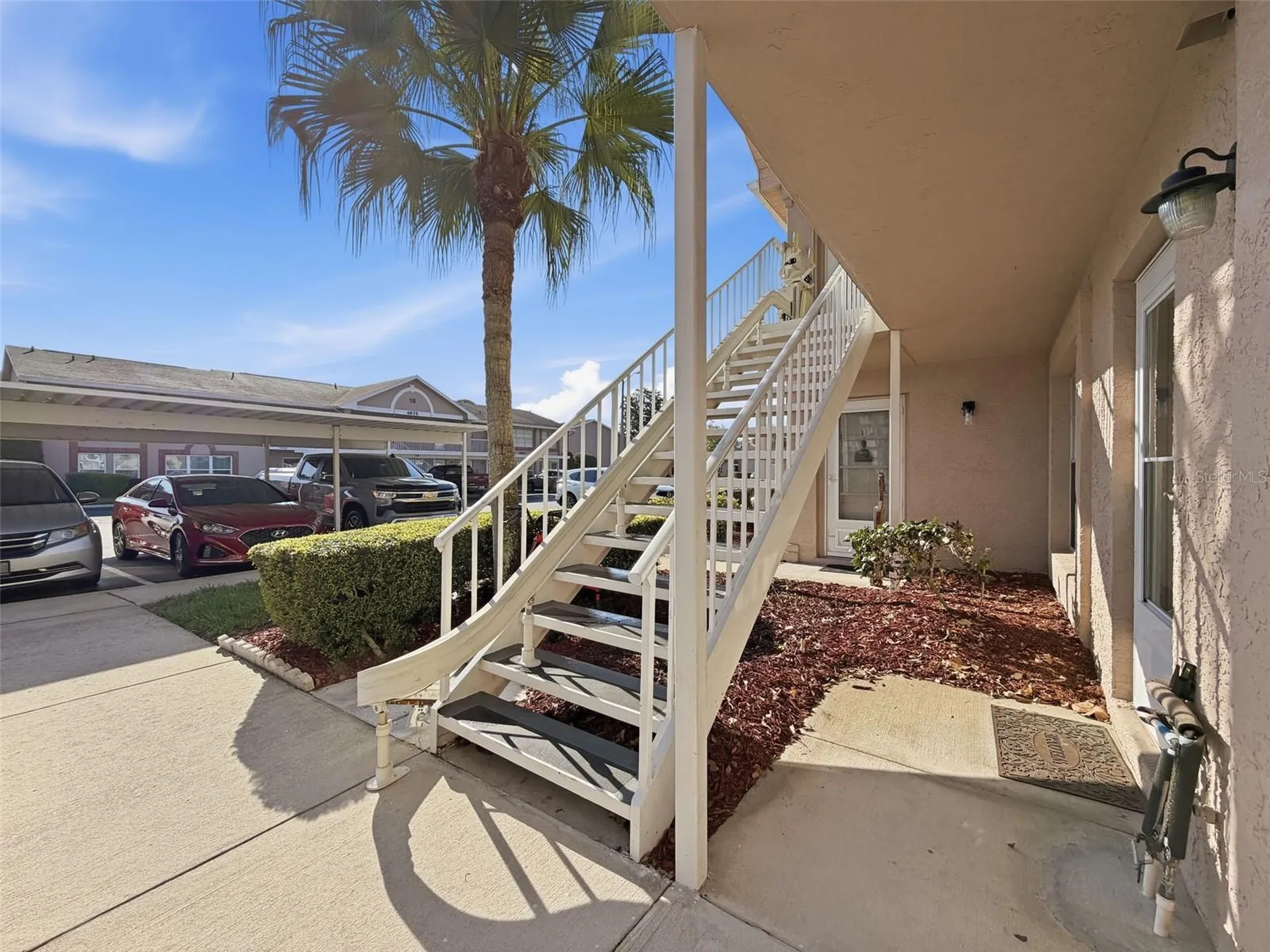 4833 Myrtle Oak Drive New Port Richey FL 34653