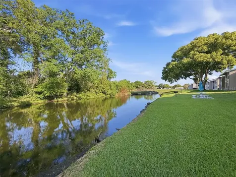 4833 Myrtle Oak Drive New Port Richey FL 34653
