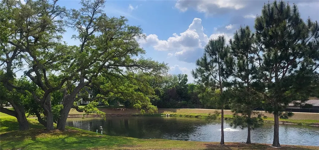 2291 Americus Boulevard W Clearwater FL 33763