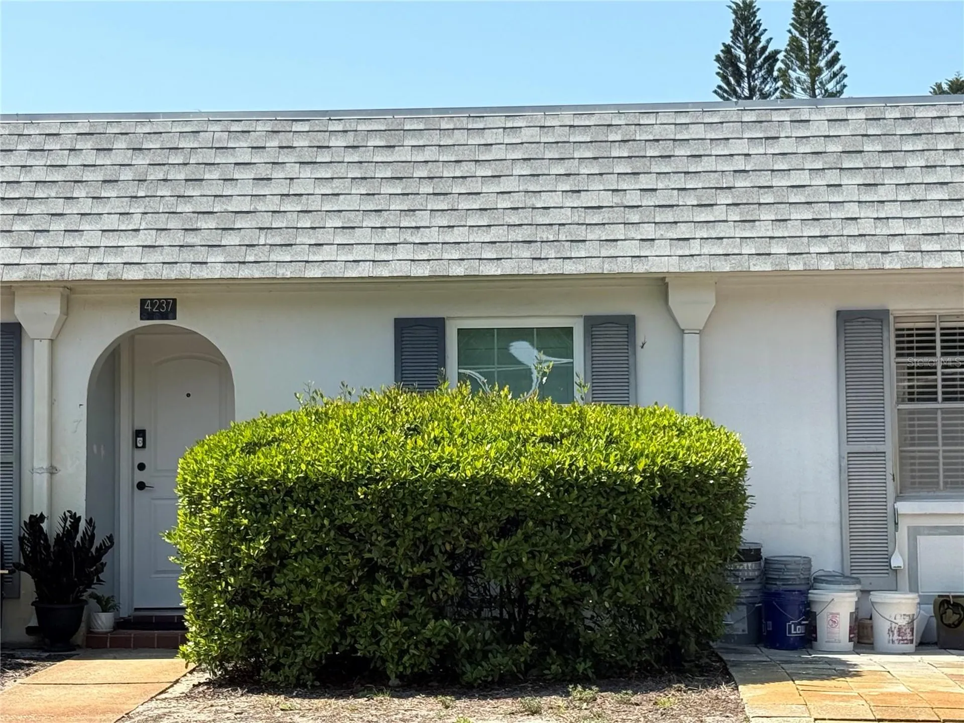 4244 Sheldon Place New Port Richey FL 34652