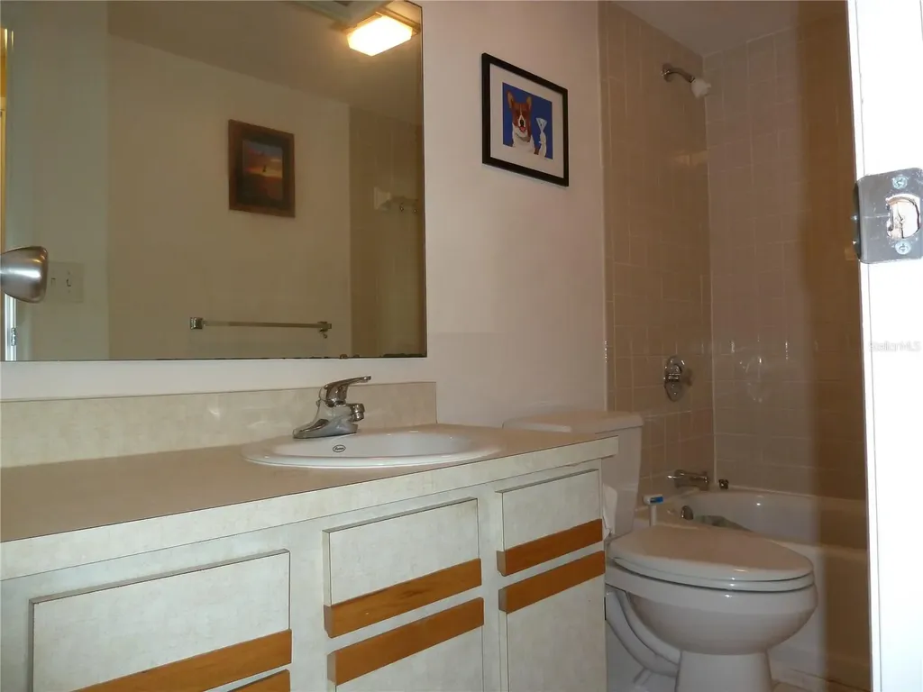 807 Jacaranda Drive Oldsmar FL 34677