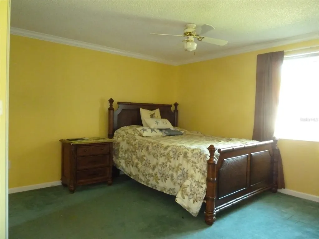 807 Jacaranda Drive Oldsmar FL 34677