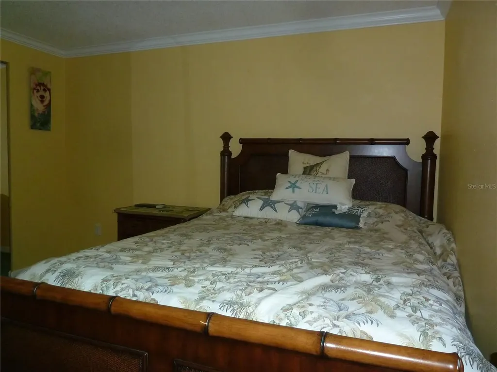 807 Jacaranda Drive Oldsmar FL 34677