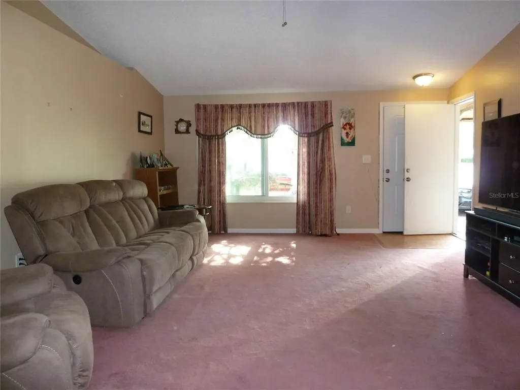 807 Jacaranda Drive Oldsmar FL 34677