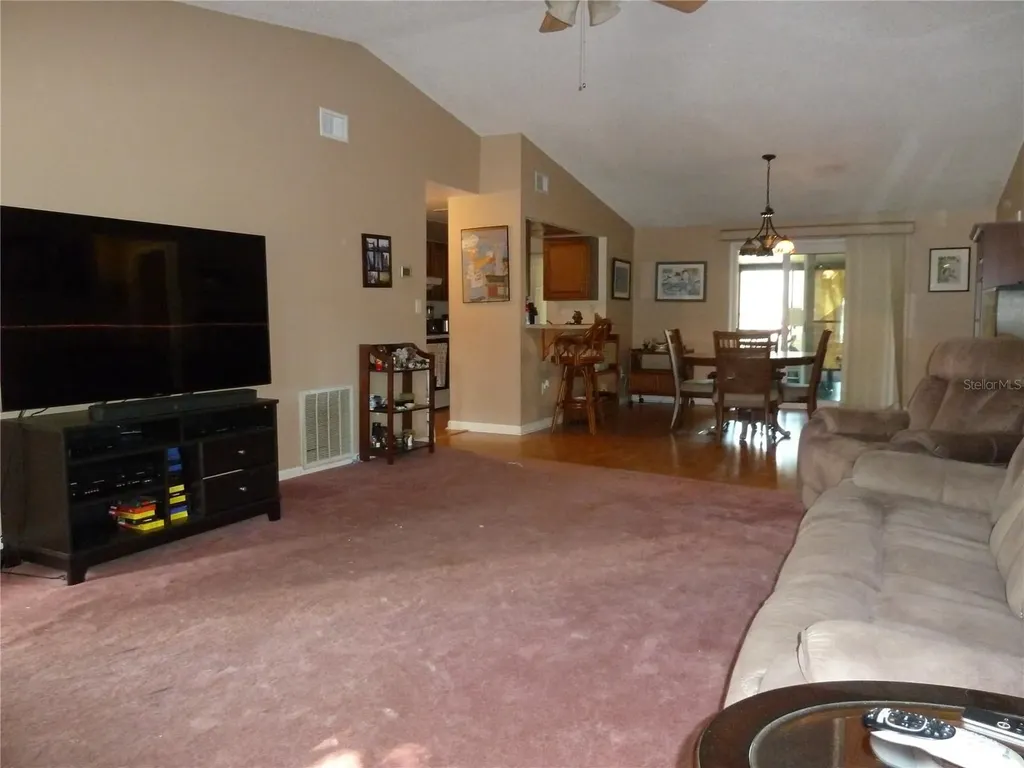 807 Jacaranda Drive Oldsmar FL 34677