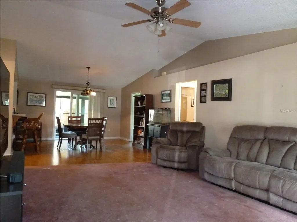 807 Jacaranda Drive Oldsmar FL 34677