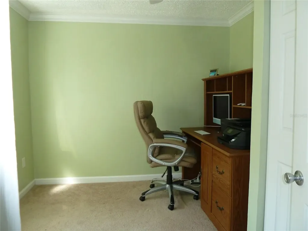 807 Jacaranda Drive Oldsmar FL 34677