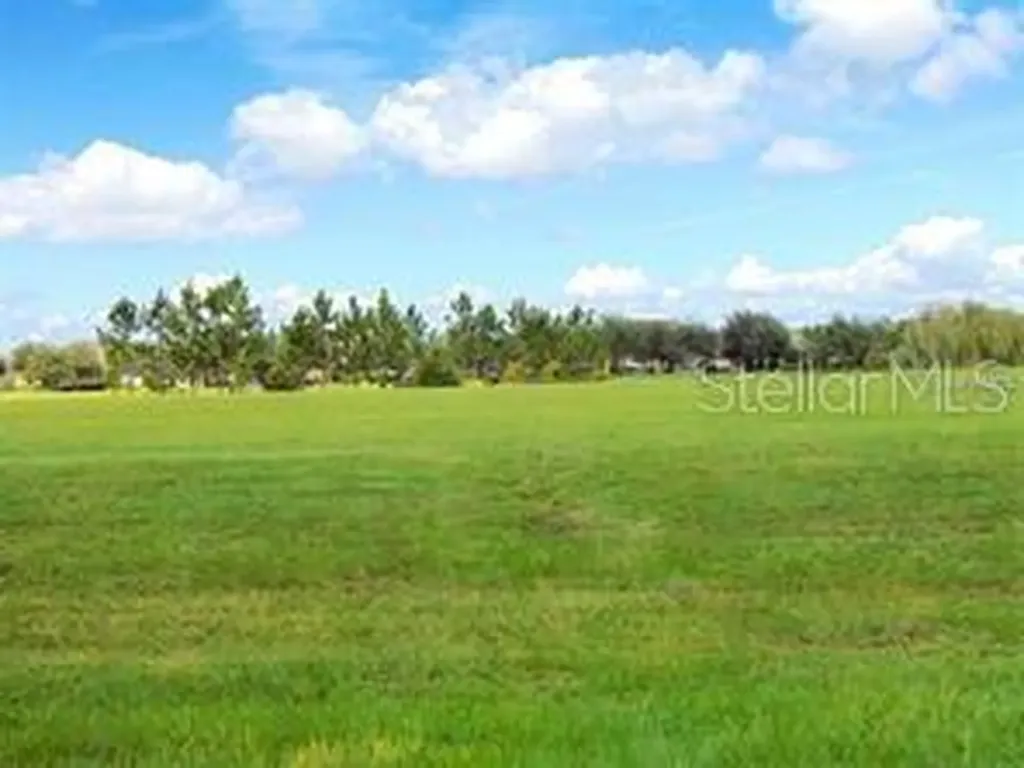 12863 Holdenbury Lane Windermere FL 34786