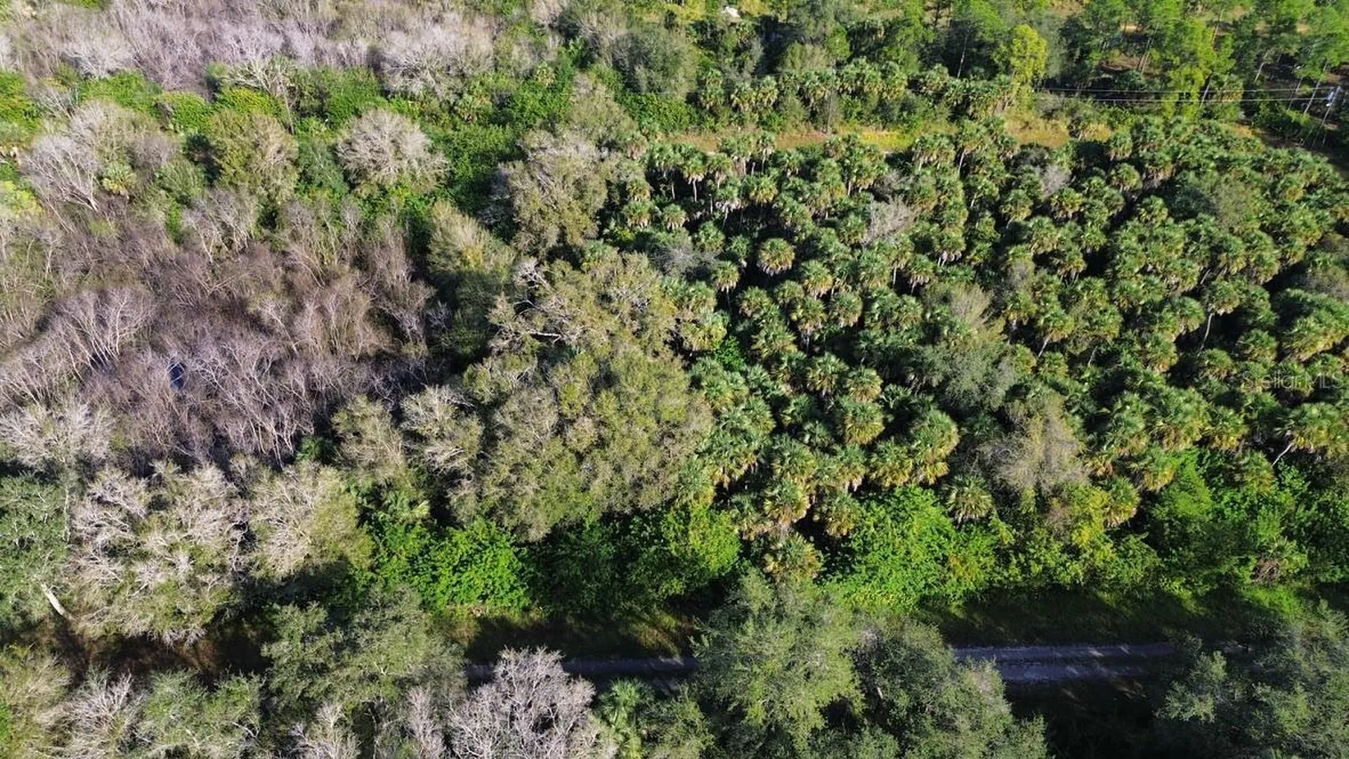 1219 Rosita Street E Lehigh Acres FL 33974
