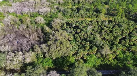 1219 Rosita Street E Lehigh Acres FL 33974