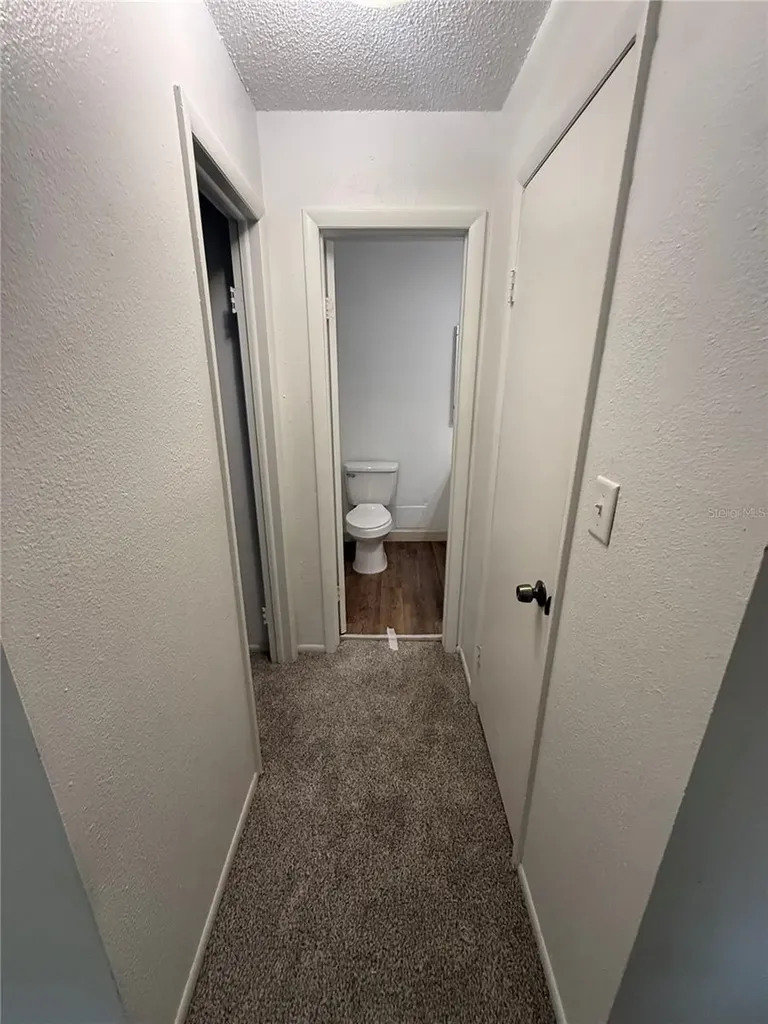 7667 Abonado Road Tampa FL 33615