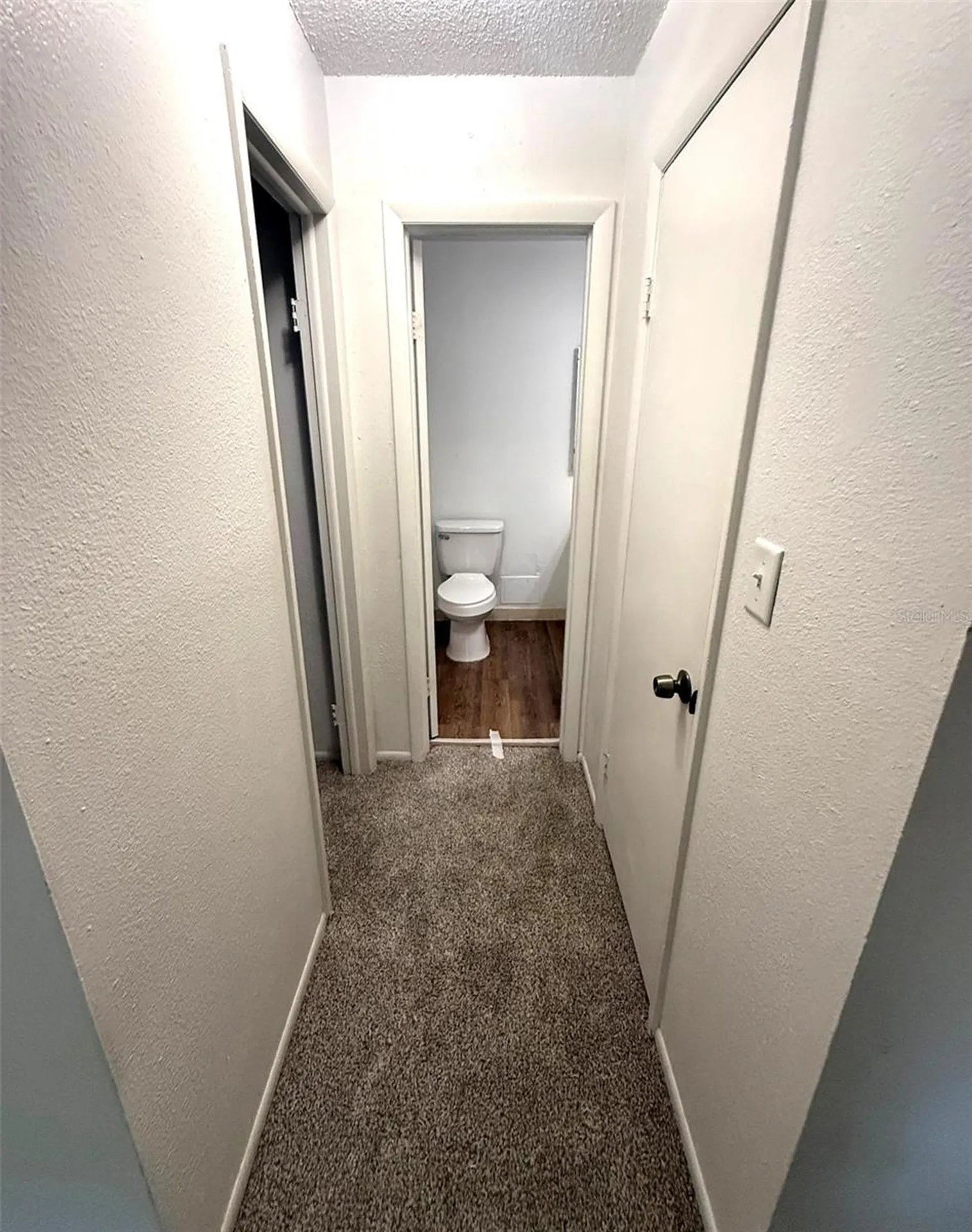 7667 Abonado Road Tampa FL 33615
