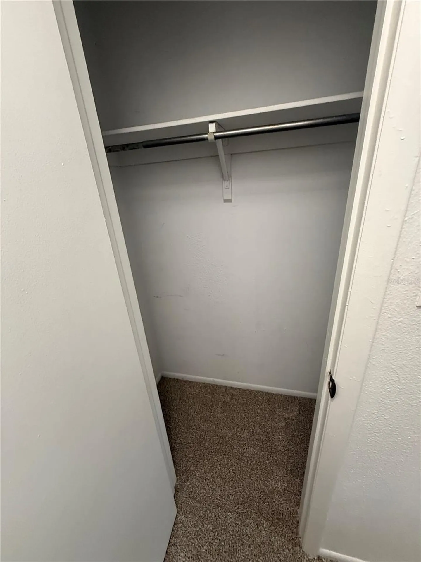 7667 Abonado Road Tampa FL 33615