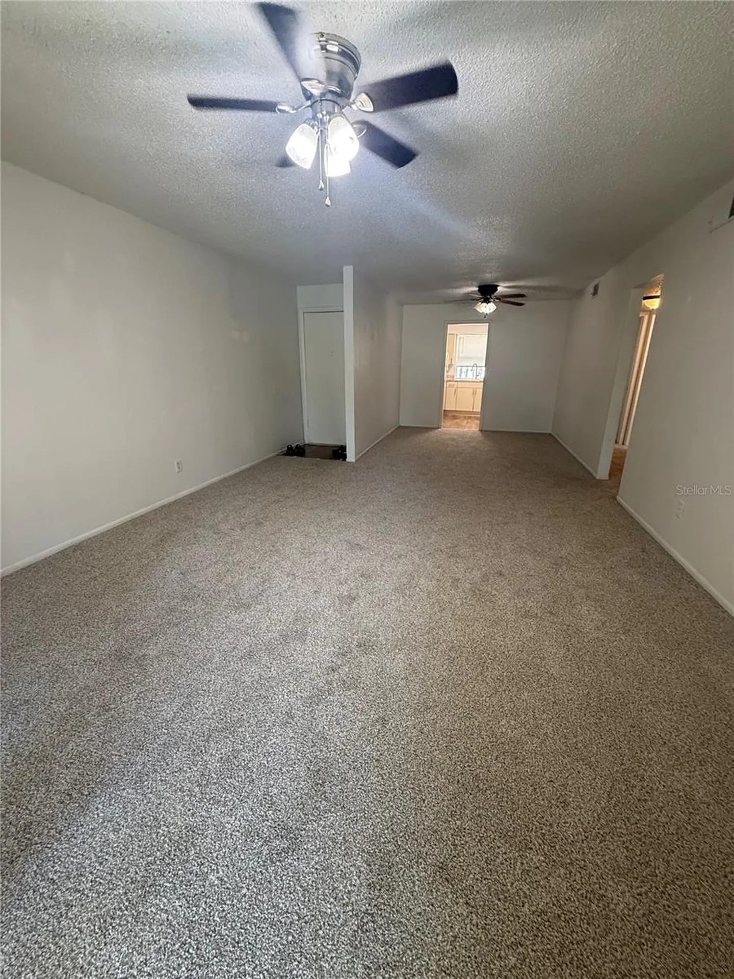 7667 Abonado Road Tampa FL 33615