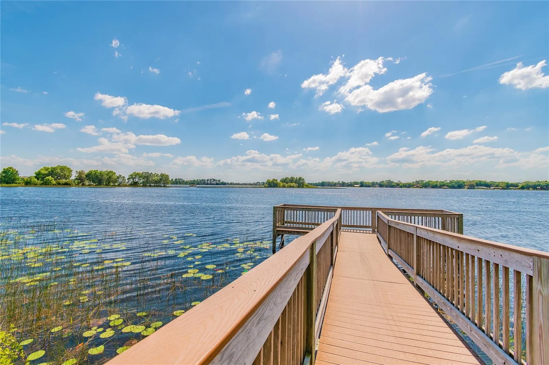 10030 Salt Point Drive Winter Garden FL 34787