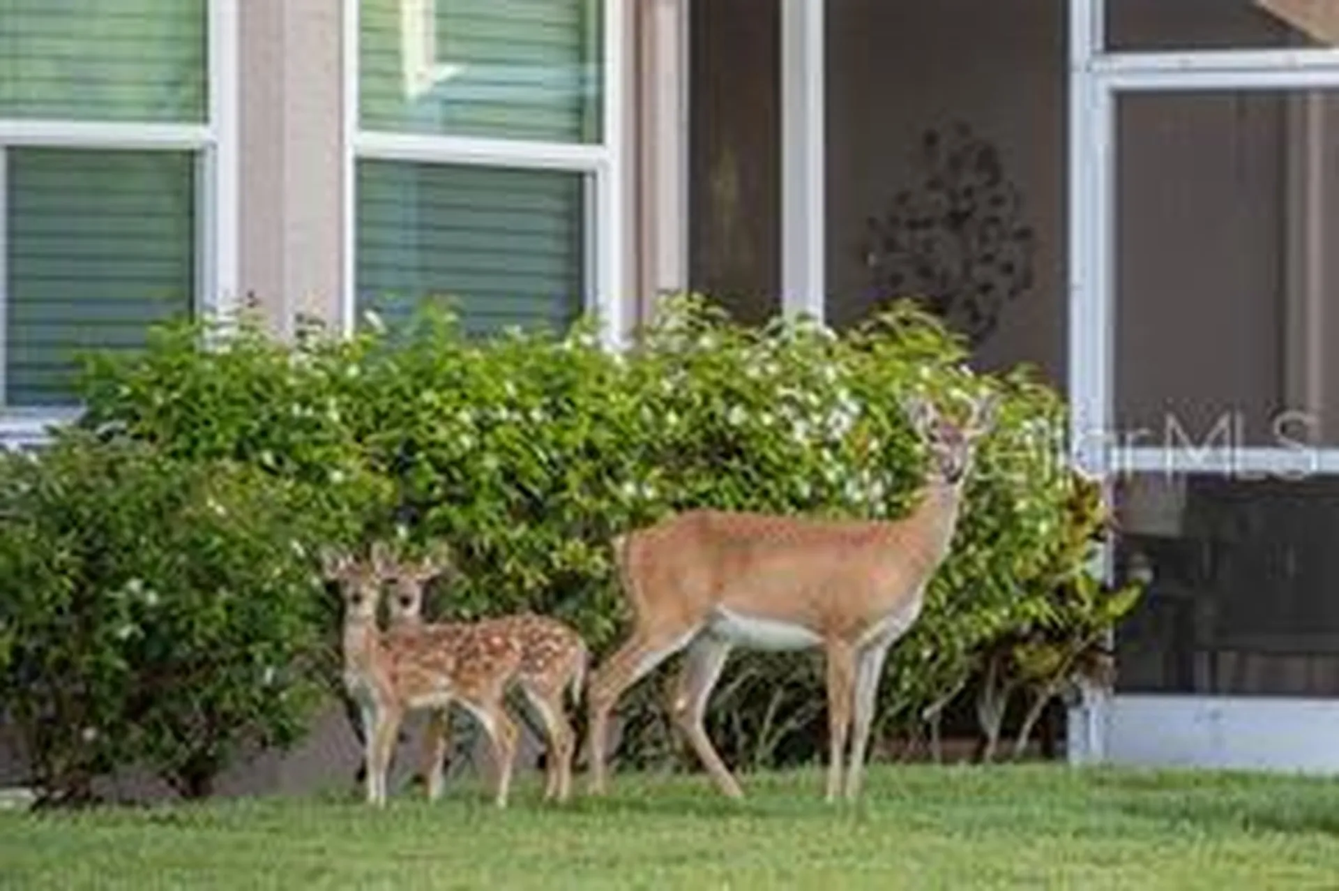 5126 Blue Ash Avenue Sarasota FL 34241