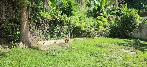 6D Extension Mabu Humacao PR 00791