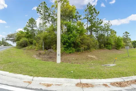 Tbd SE 92nd Court Belleview FL 34420