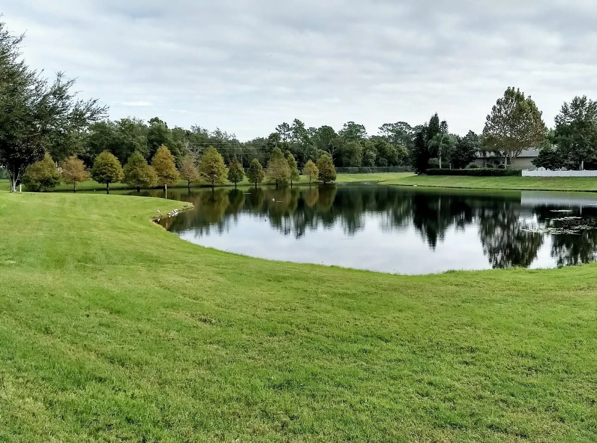 5373 Red Leaf Court Oviedo FL 32765