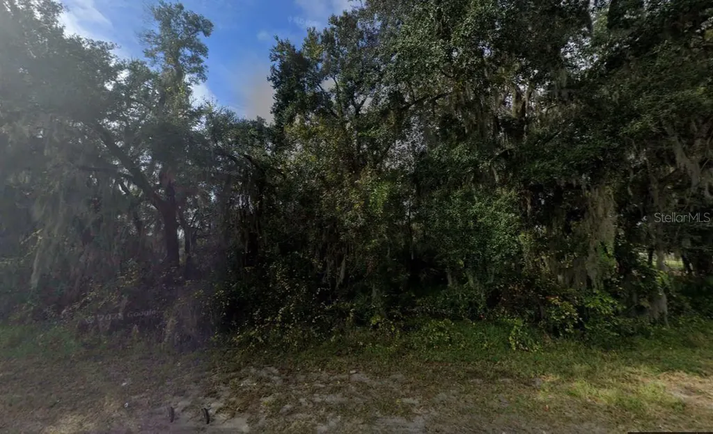 39771 County Road 452 Leesburg FL 34788
