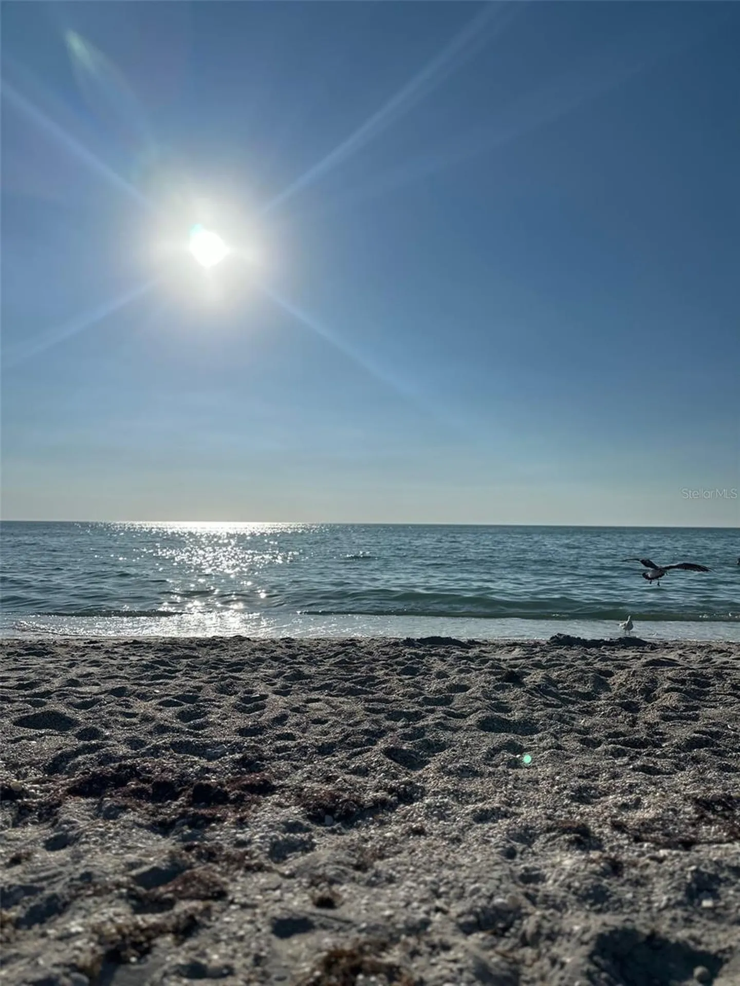 1045 Cumberland Road Venice FL 34293
