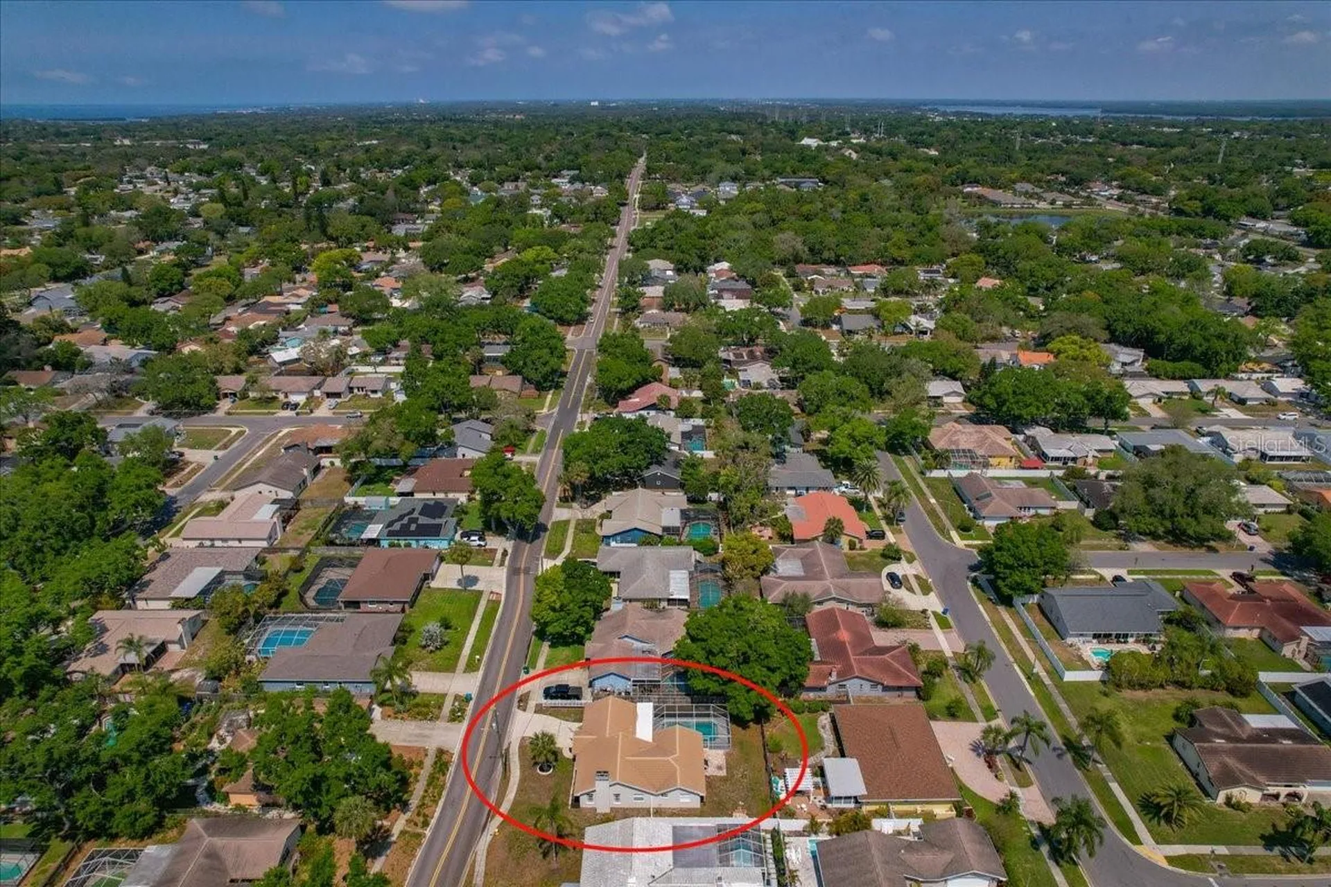 220 19th Street Palm Harbor FL 34683