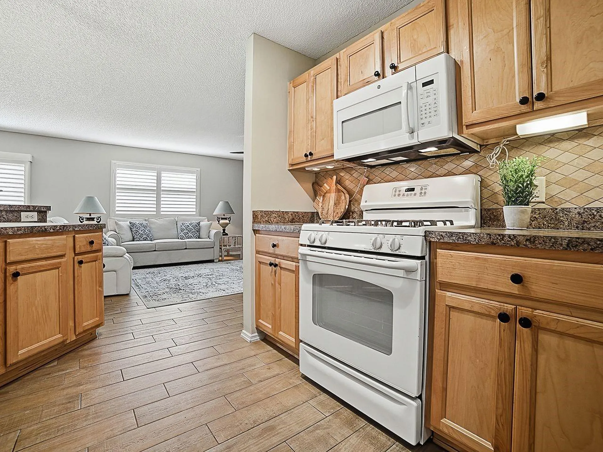 1018 Ridgeville Road The Villages FL 32162
