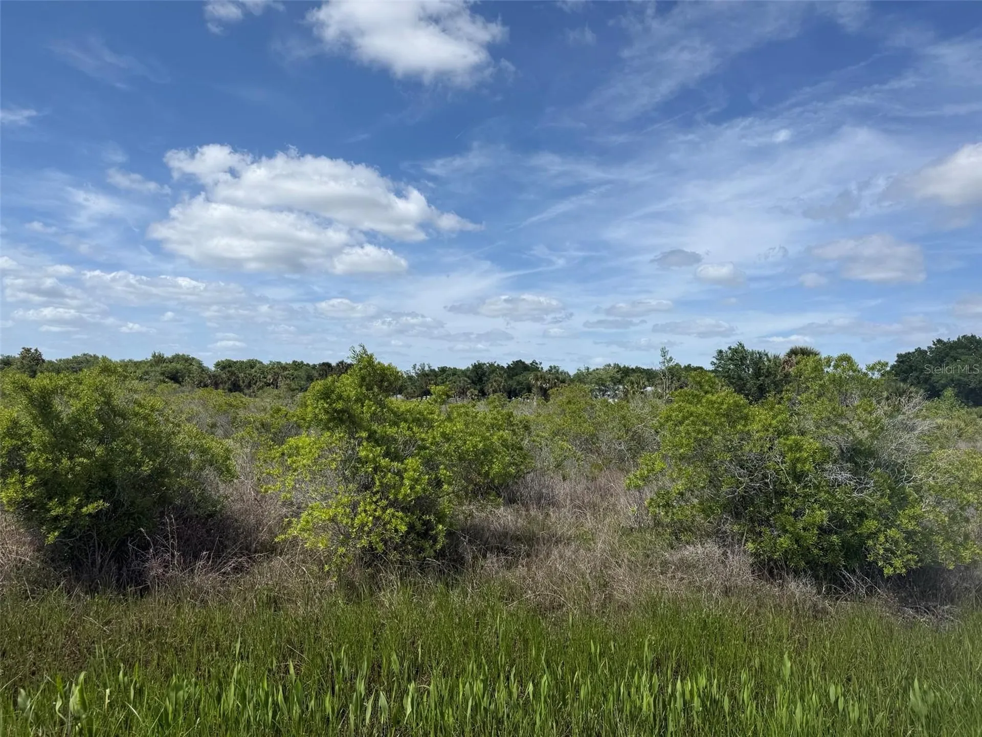 19369 NW 300th Street Okeechobee FL 34972