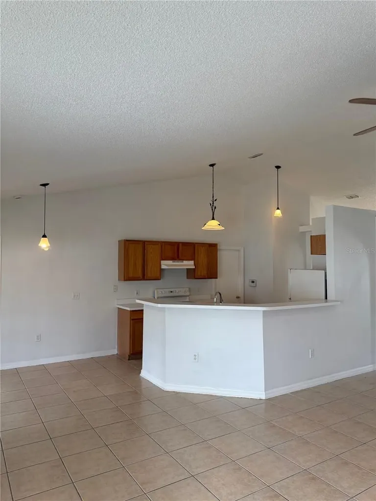 405 Francisco Way Kissimmee FL 34758