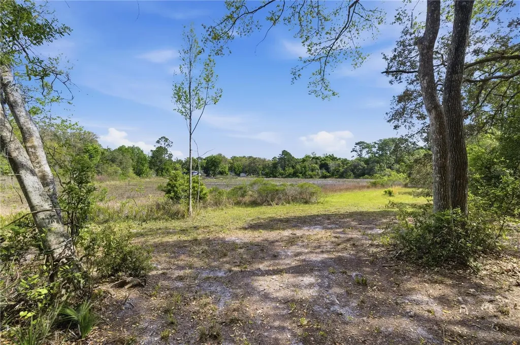 17195 SE 70th Street Ocklawaha FL 32179