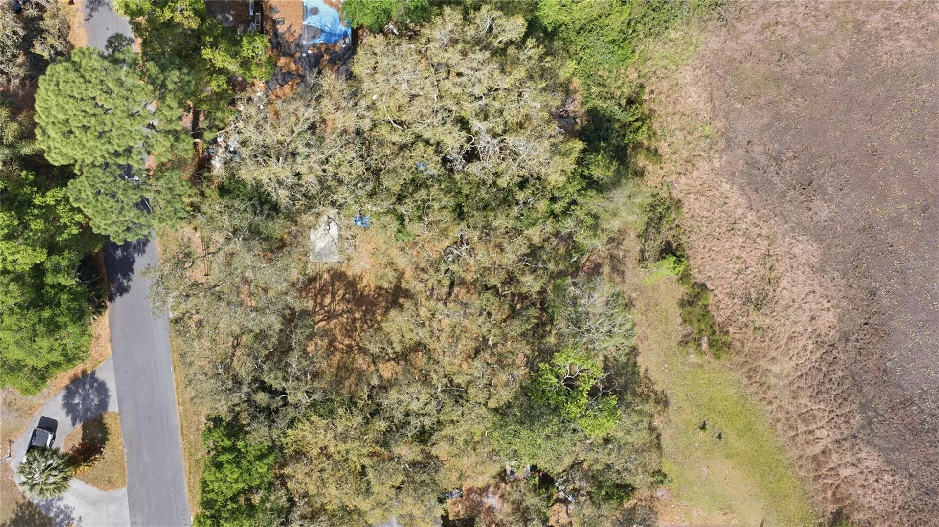 17195 SE 70th Street Ocklawaha FL 32179