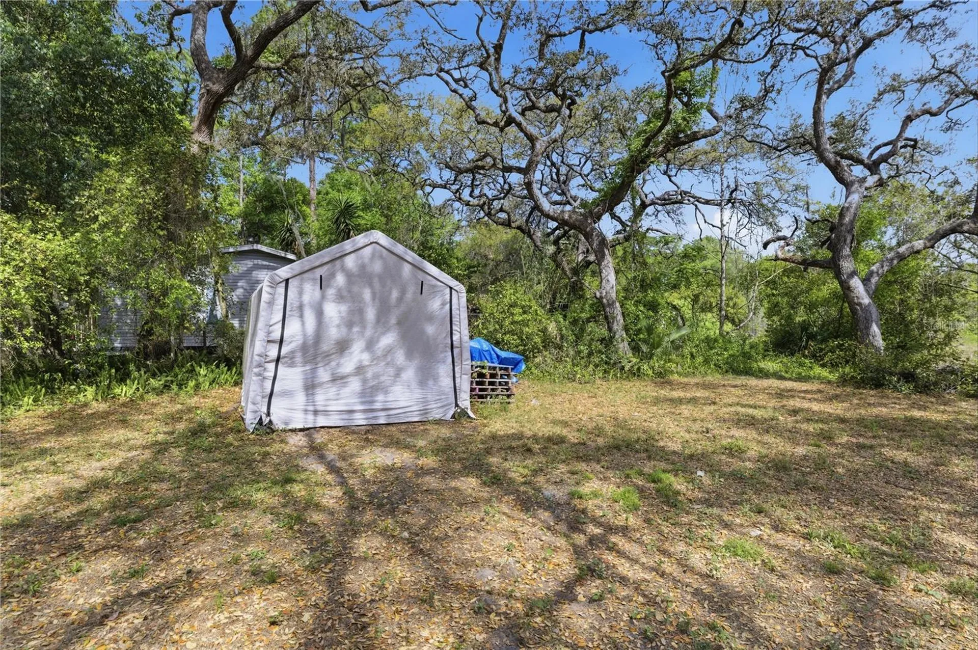17195 SE 70th Street Ocklawaha FL 32179