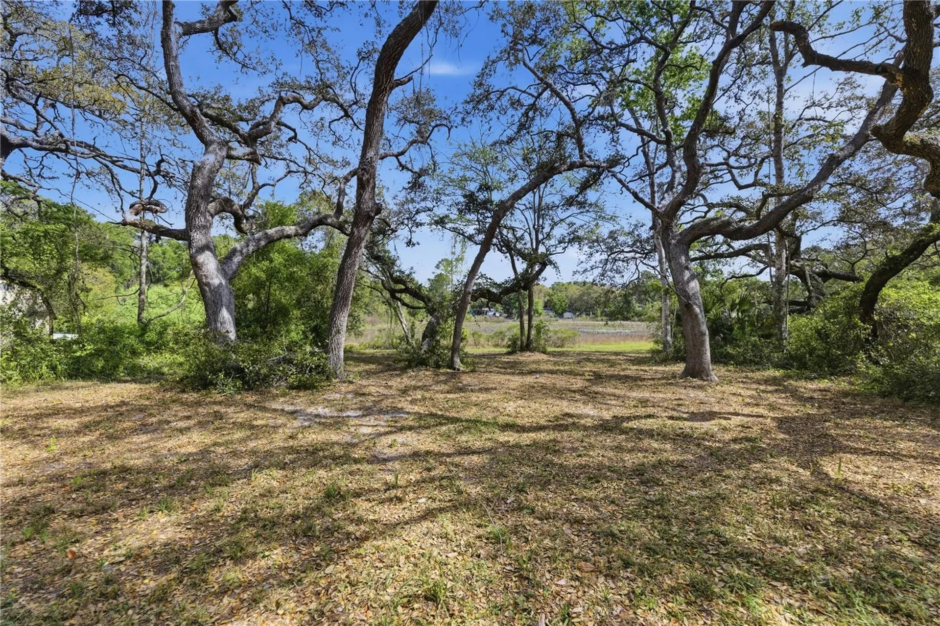 17195 SE 70th Street Ocklawaha FL 32179
