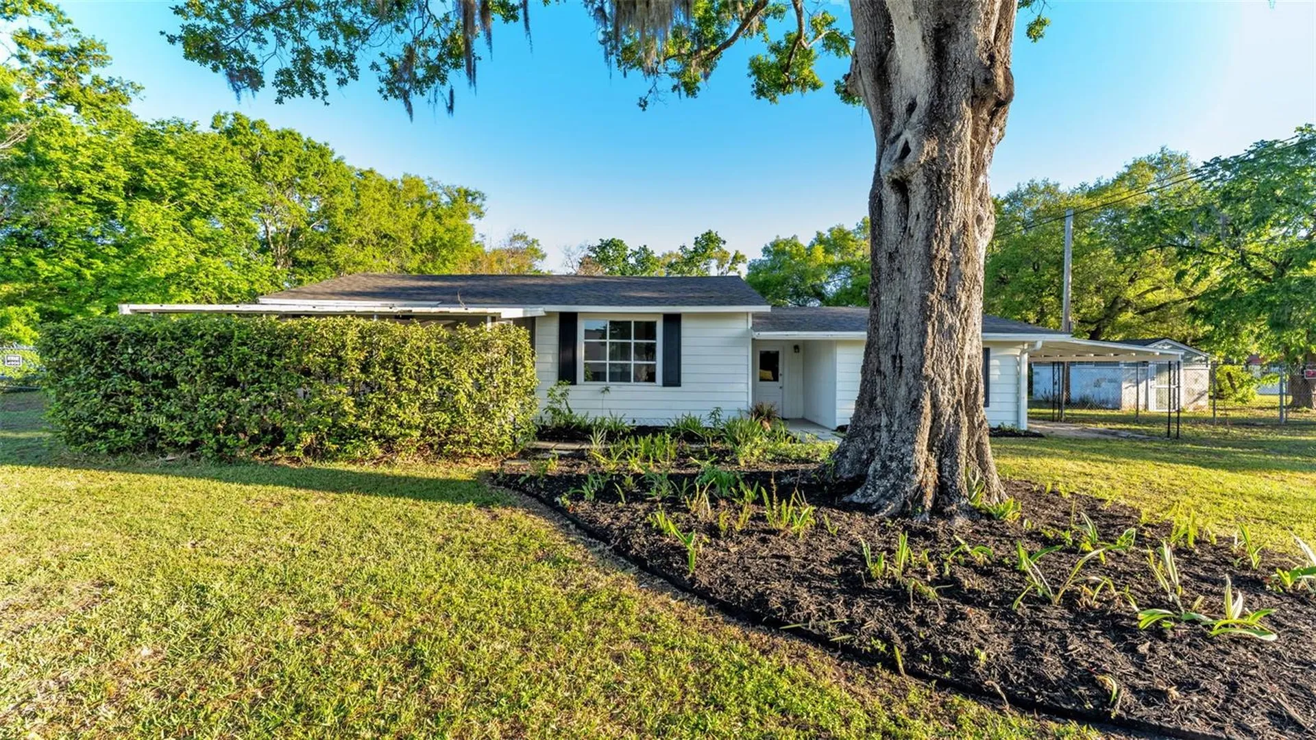1317 W Belmar Street Lakeland FL 33815