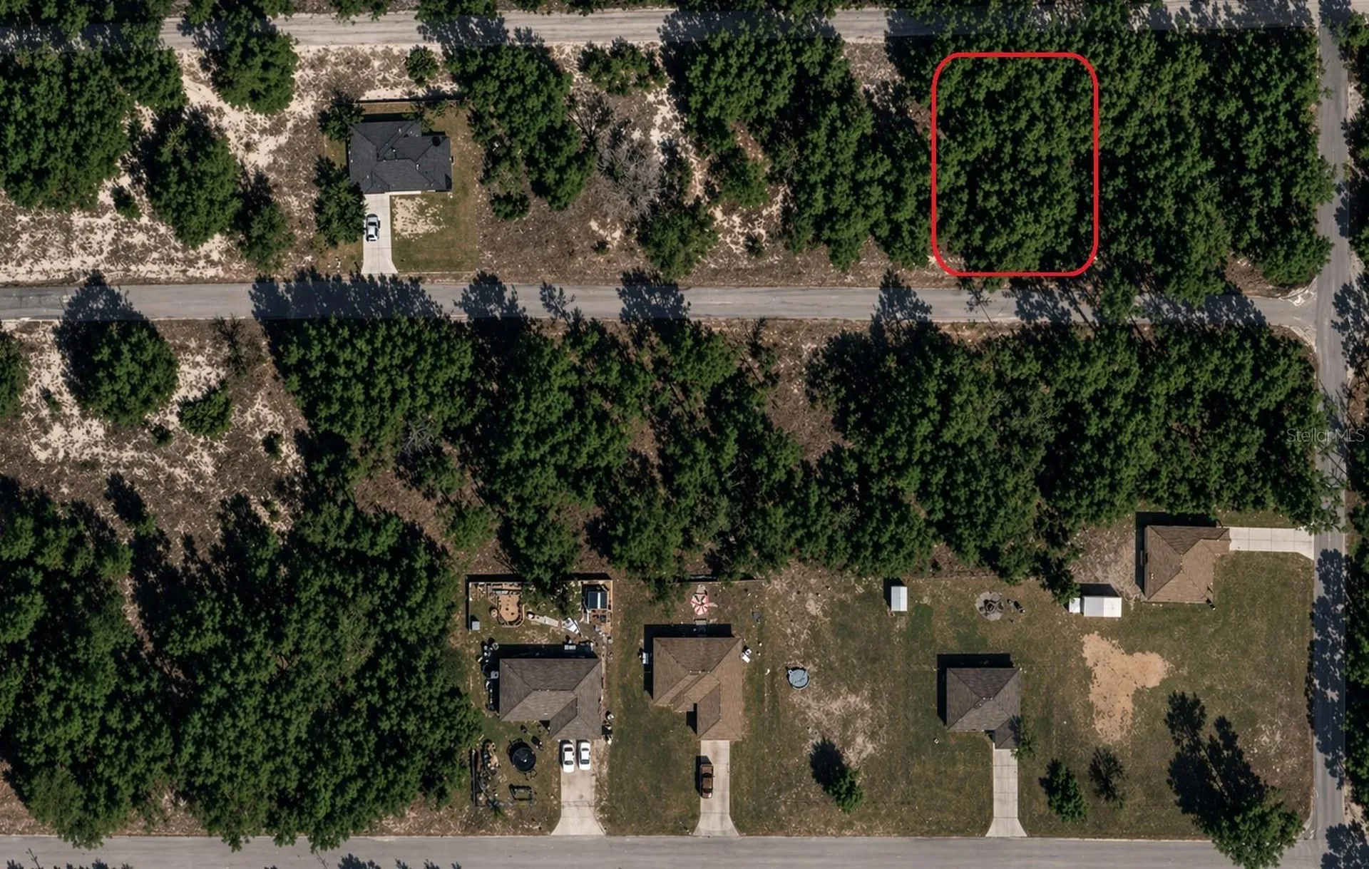 Malauka Pass Trail Ocklawaha FL 32179