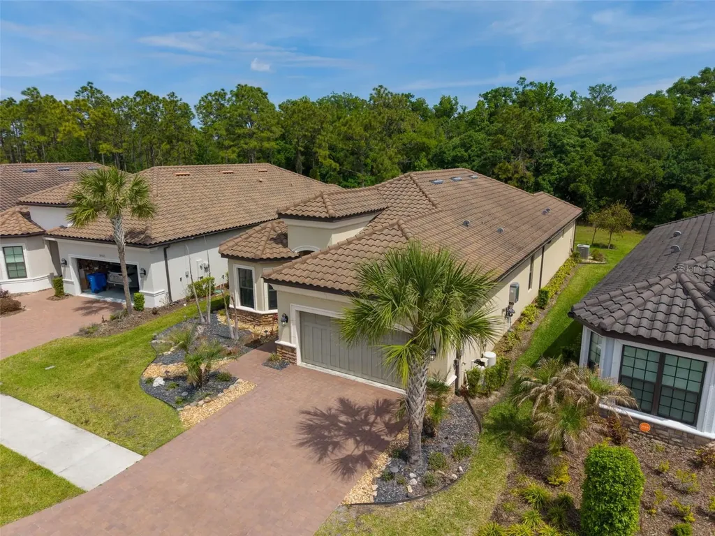 20161 Umbria Hill Drive Tampa FL 33647