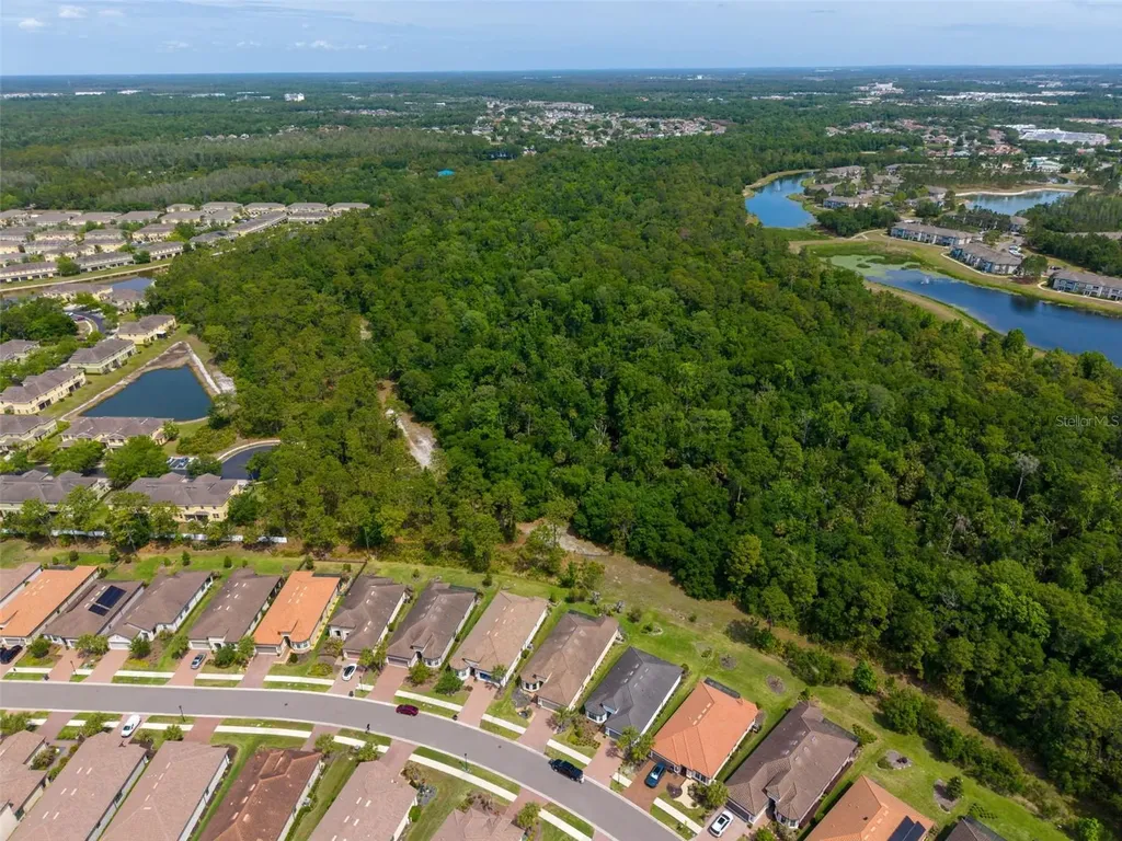 20161 Umbria Hill Drive Tampa FL 33647